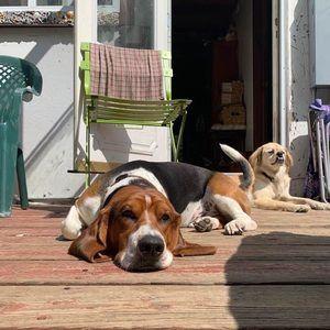 Meet your Posher, Rick